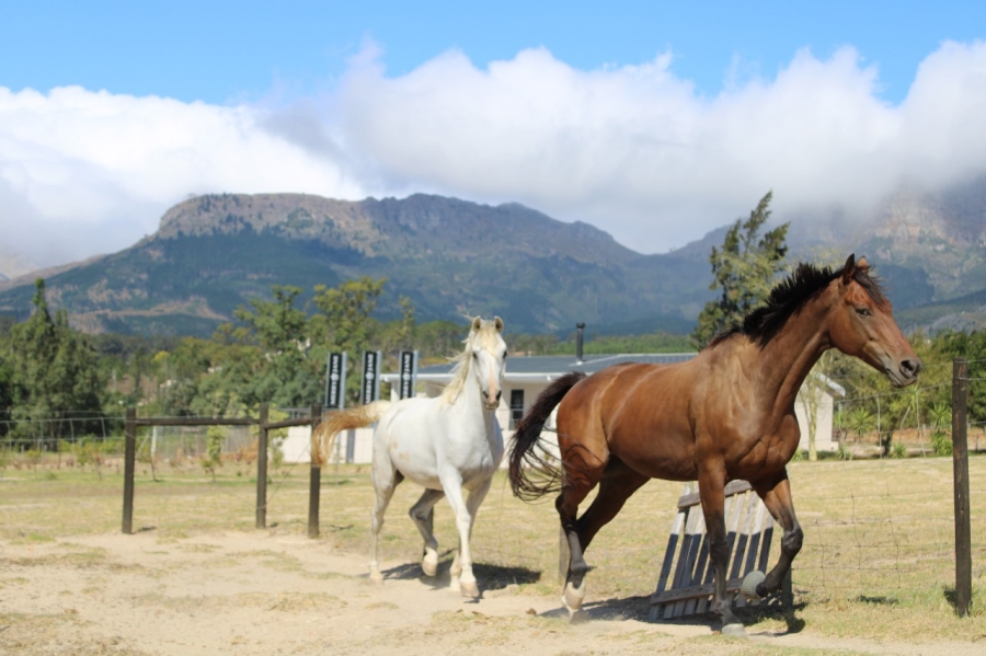 To Let Commercial Property for Rent in Bainskloof Western Cape